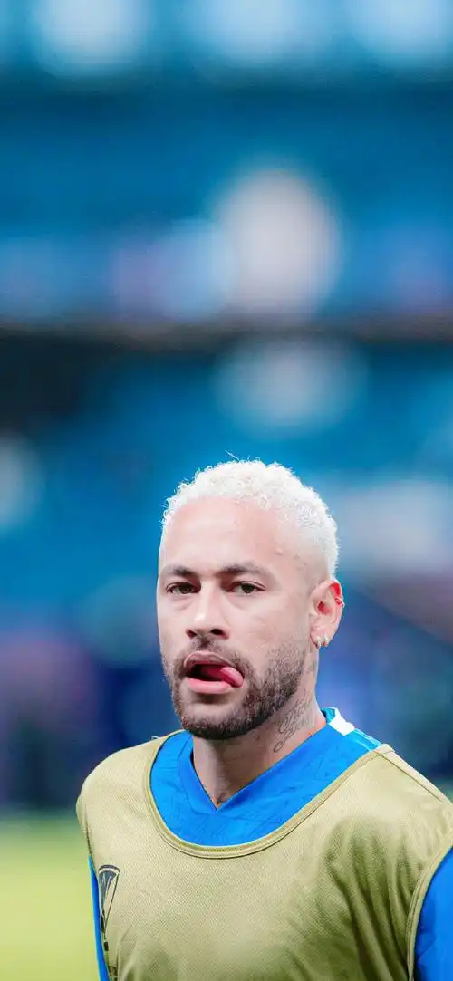 由此可见 由此可见